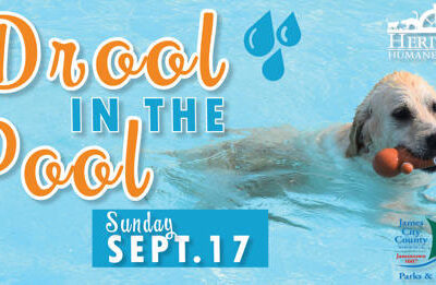 Drool-in-the-Pool-williamsburg-event-2023jpg
