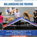 Zoom Room Williamsburg's FREE Dog Training Classes & Grand Opening Party