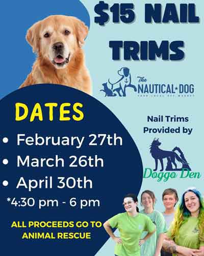 nail-trim-for-dogs