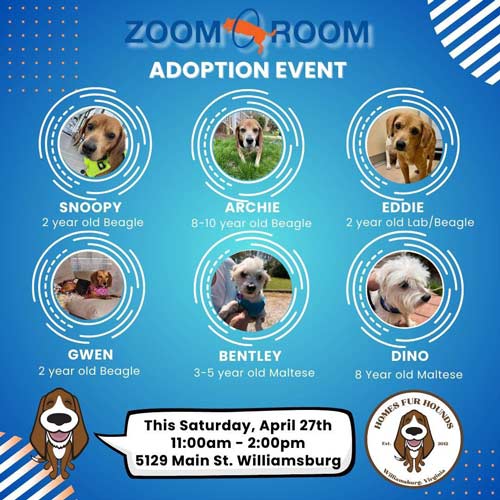 adoption-event
