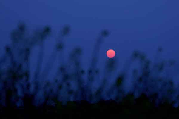 strawberry-moon