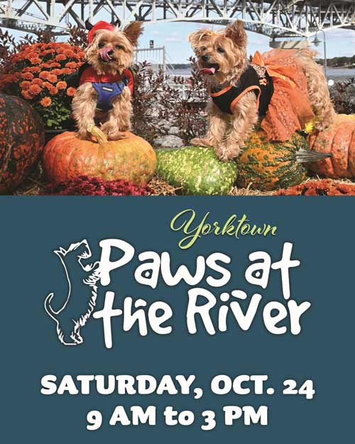 paws-at-the-river-2026