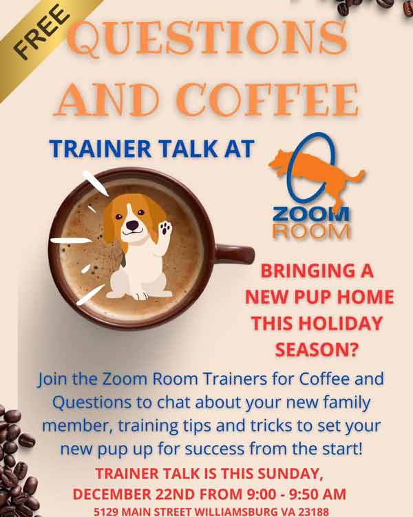 Questions & Coffee – Bringing a new puppy home this holiday season?