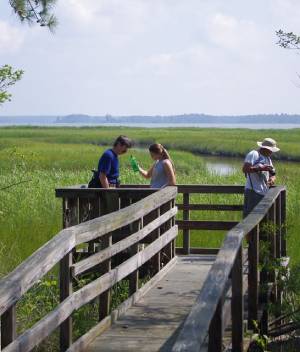 Trekking Taskinas Creek