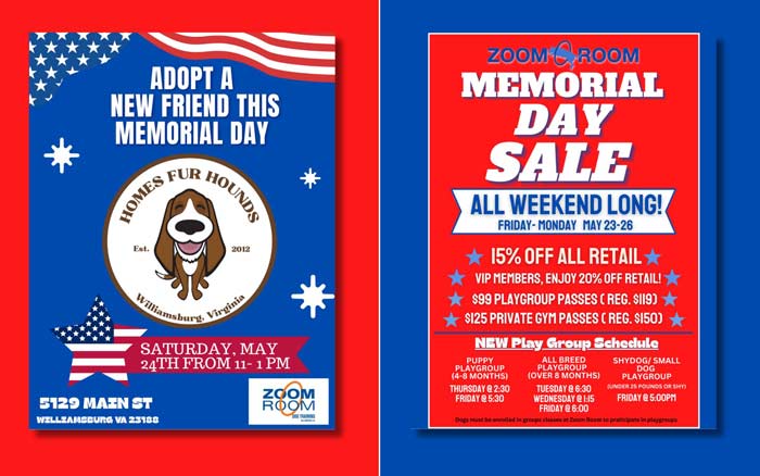 Adoption Event at Zoom Room Dog Training