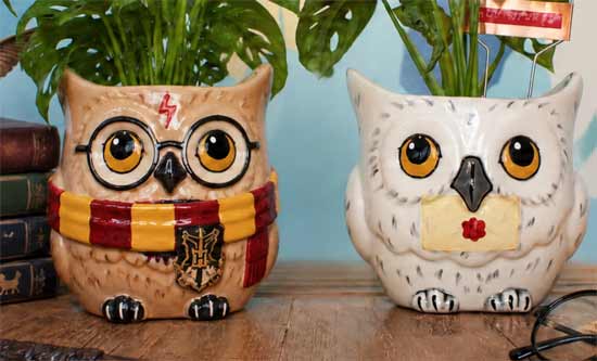 Harry Pottery Plant & Pottery Workshop