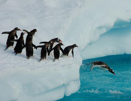 GOING to EXTREMES: Travel Journalist’s Tour of the Globe’s Most Adventurous Outposts