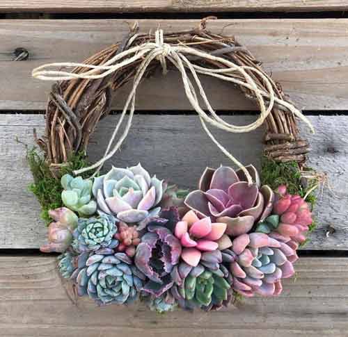 ww-succulent-wreath