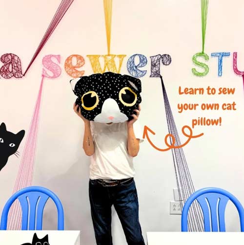 sew cat pillow tabitha sewer studio