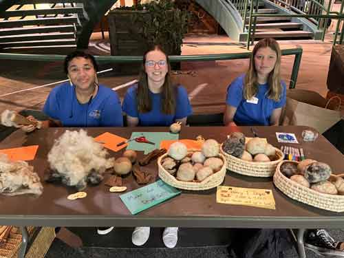 VLM-Teens-volunteer
