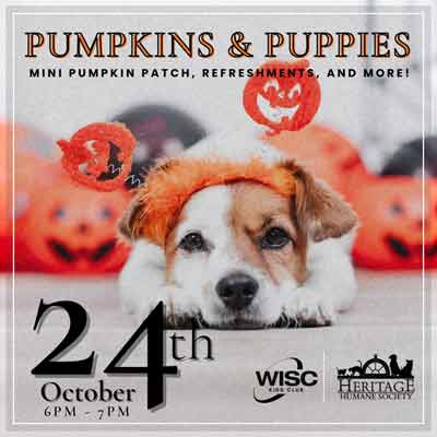 pumpkins-&-puppies