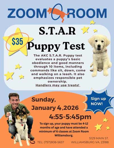 AKA-Puppy-class