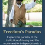 freedoms-paradox