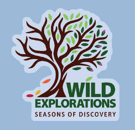 VLM-Wild-Explorations