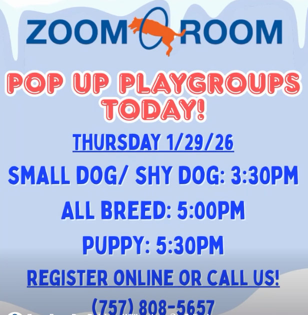 playgroup-zoom-room
