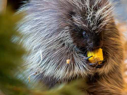 Not-So Groundhog Day