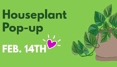 Houseplant Pop-up