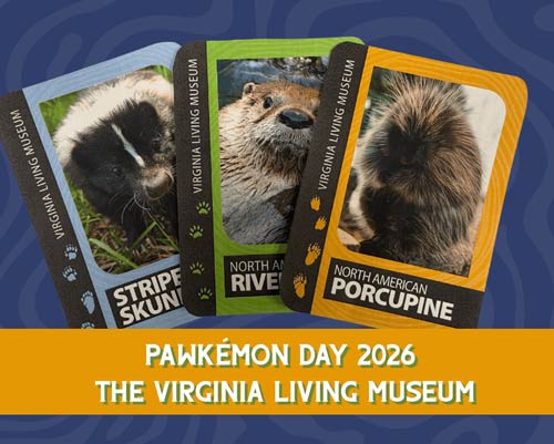 Pawkémon-Day-2026