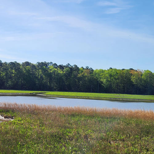 science of the james