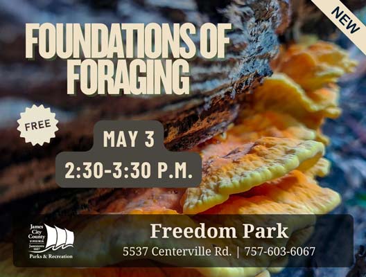 foraging