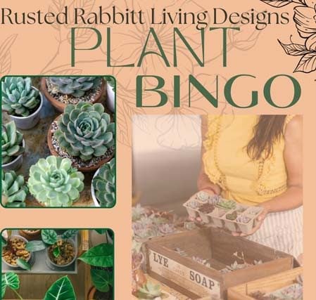 plant bingo