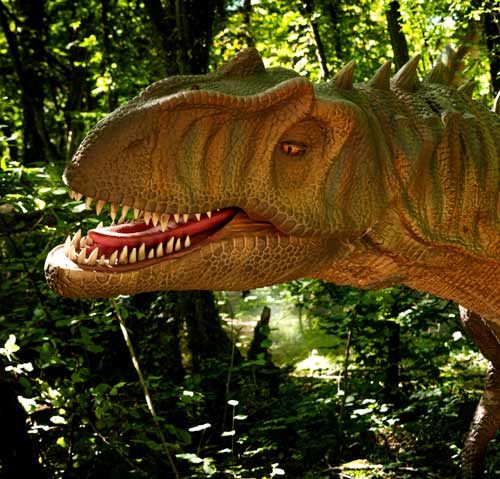 Dinosaur-Discovery