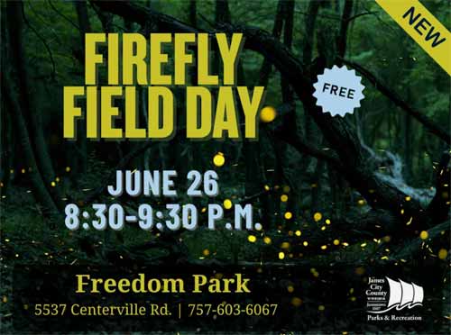 firefly-field-day