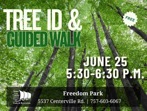 tree-id-walk