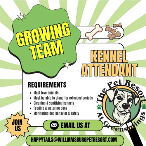 dog-kennel-hiring
