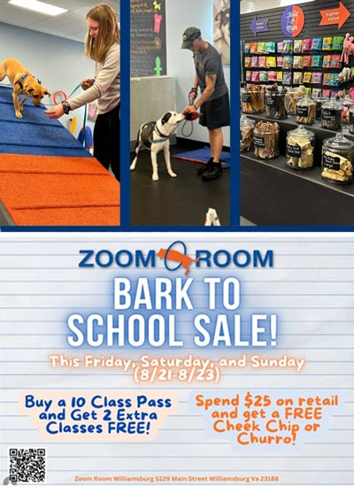 bark-to-school
