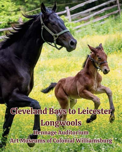Cleveland-Bays-to-Leicester-Longwools